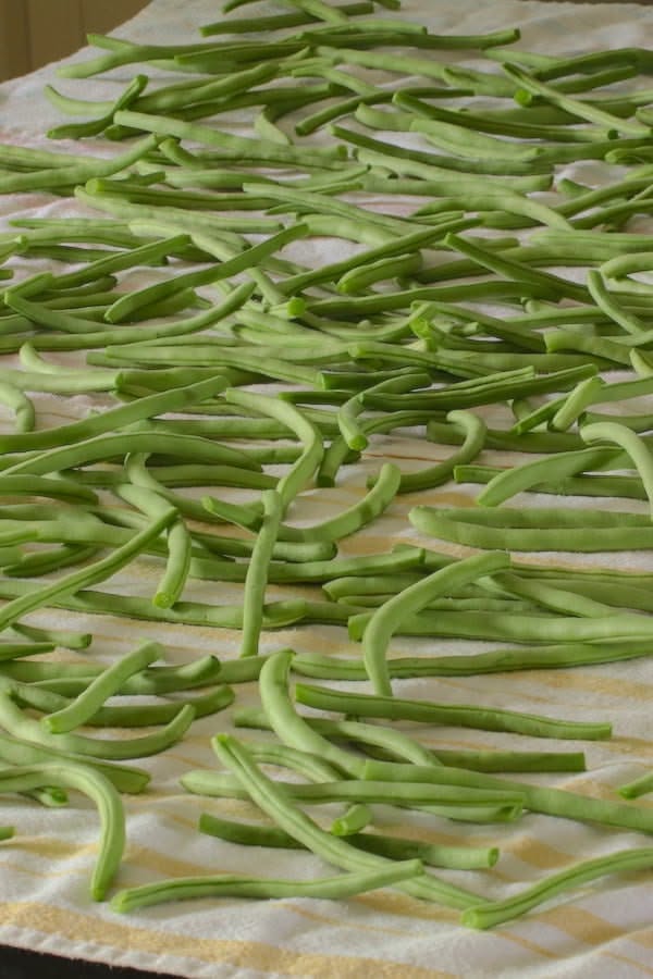 Many fresh green beans spread out on a white and yellow striped towel