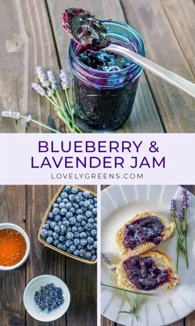 Blueberry and lavender jam in a jar with a spoon, next to fresh lavender sprigs and blueberries, with jam spread on bread