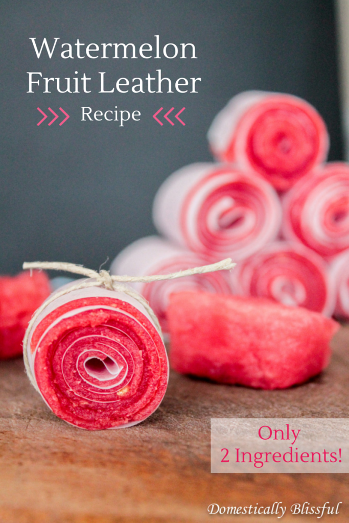 Rolled watermelon fruit leather tied with twine, with more fruit leather rolls and pieces in the background