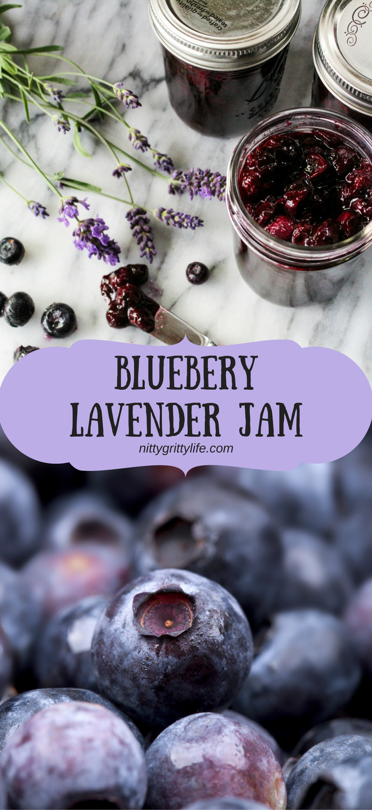 Jars of blueberry jam with fresh blueberries and lavender sprigs on a marble surface.