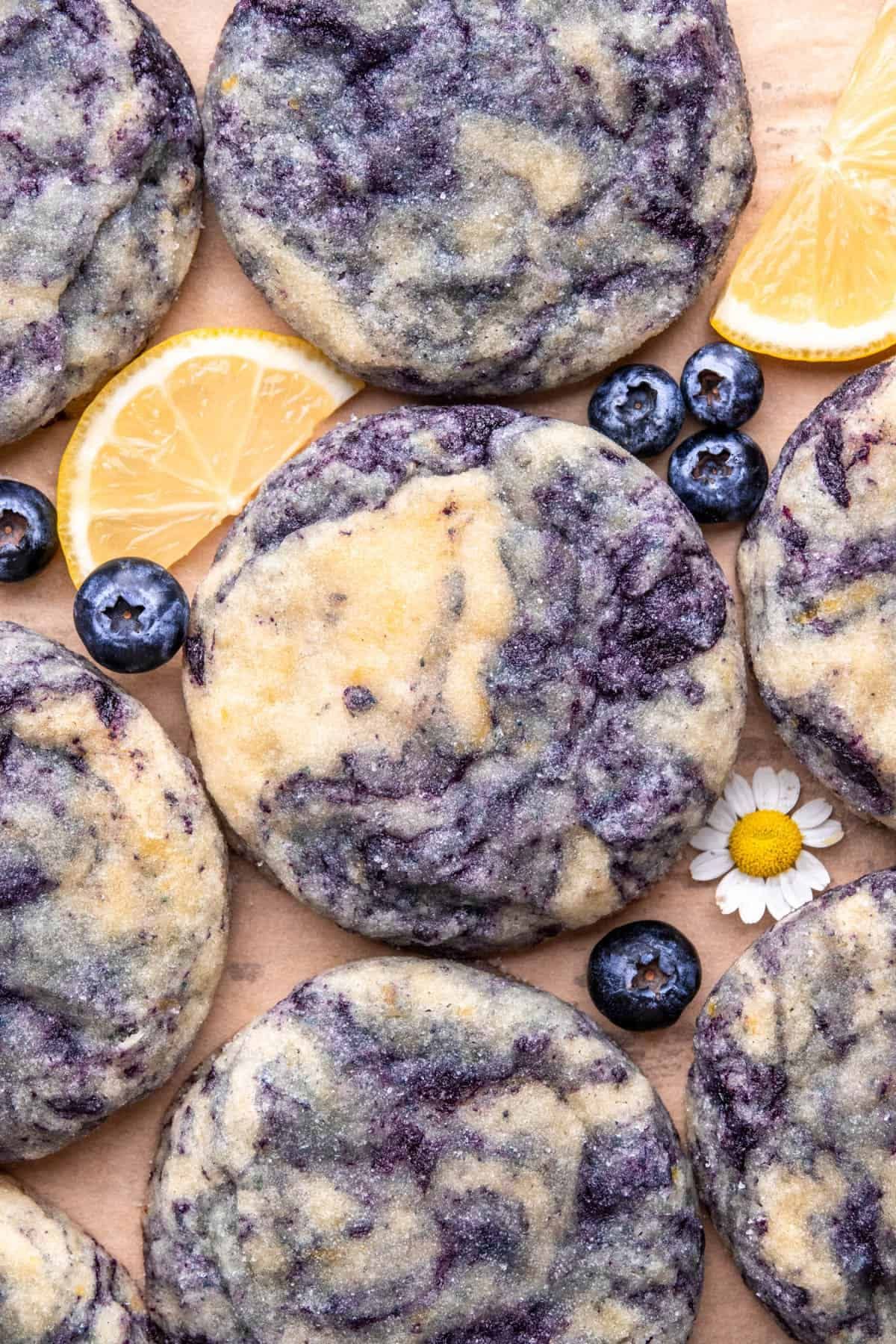 Several lemon blueberry cheesecake cookies, with fresh blueberries, lemon slices, and a small white daisy spread around them