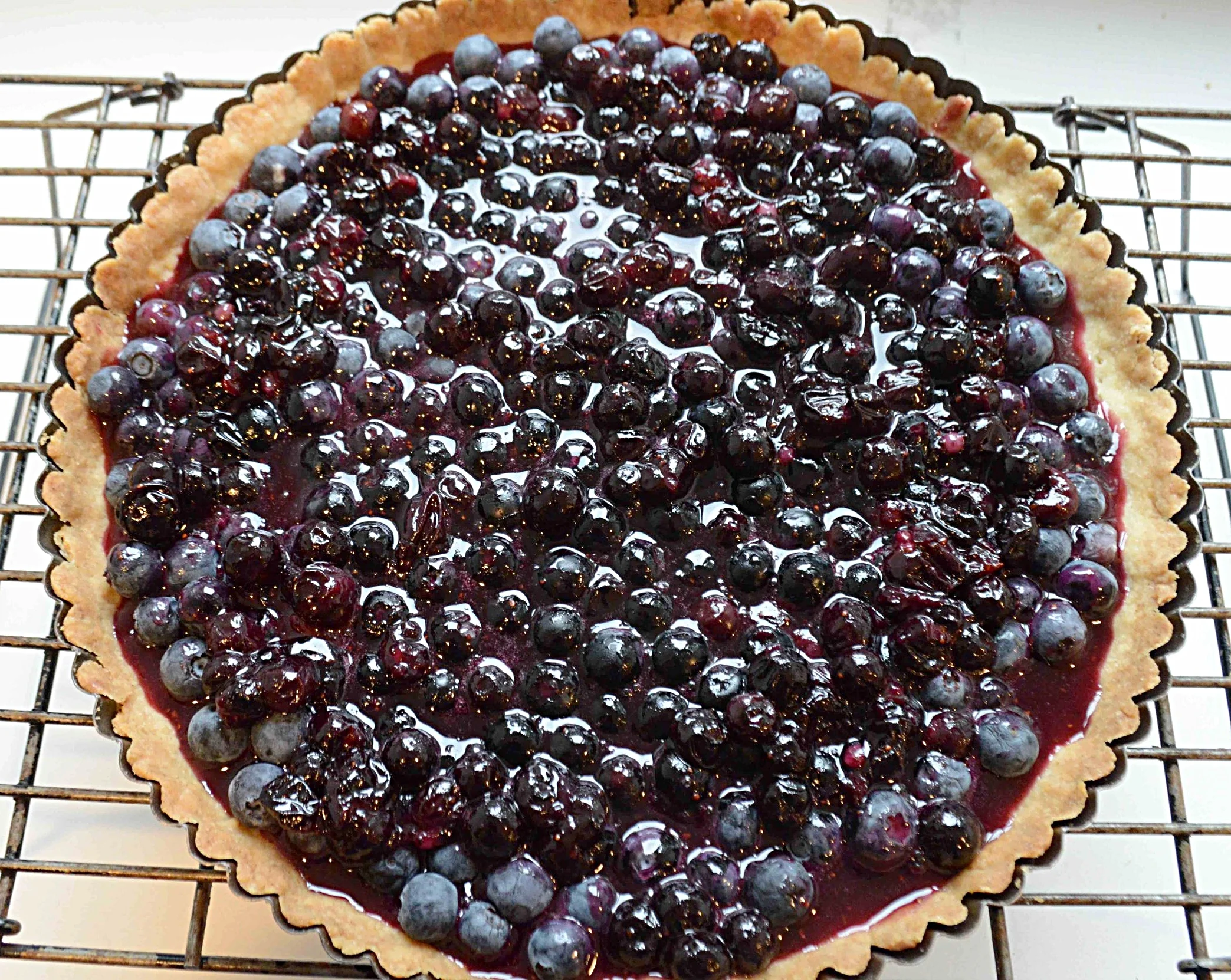 Blueberry tart in a round baked crust.