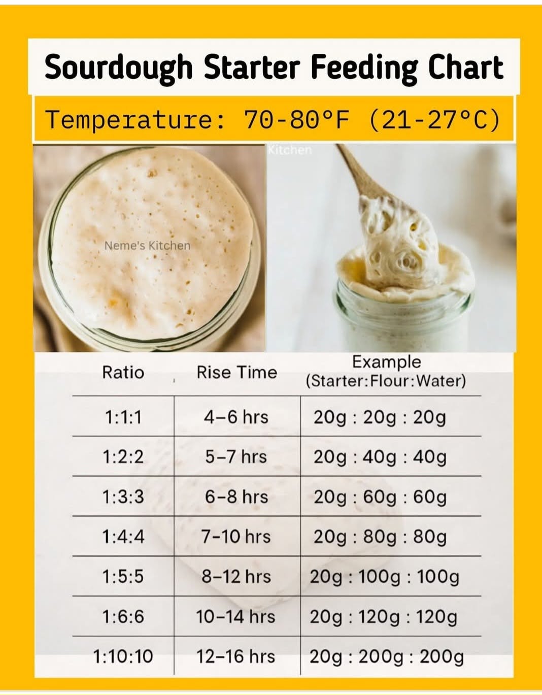 Chart showing sourdough starter feeding ratios, rise times, and example weights for temperatures 70-80°F, with two images of…