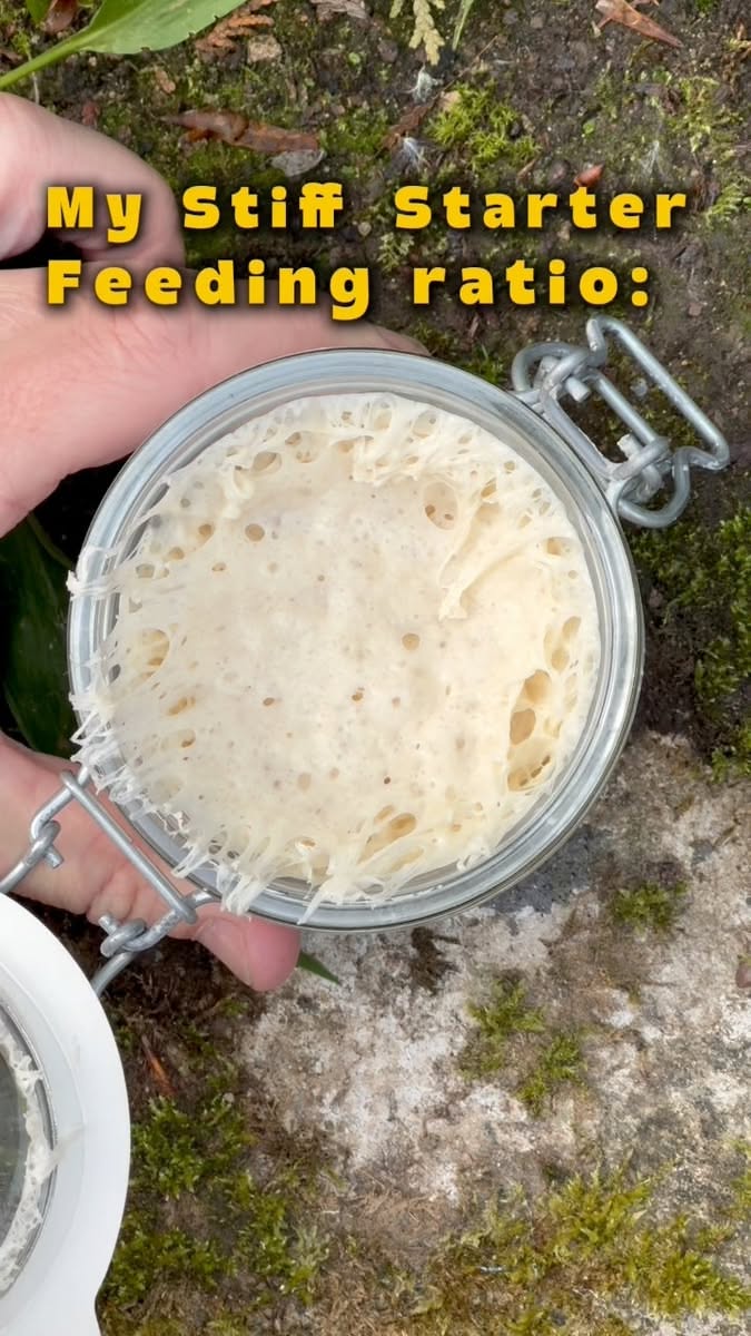 Bubbly, active sourdough starter in a glass jar with metal clamp lid, held over mossy ground.