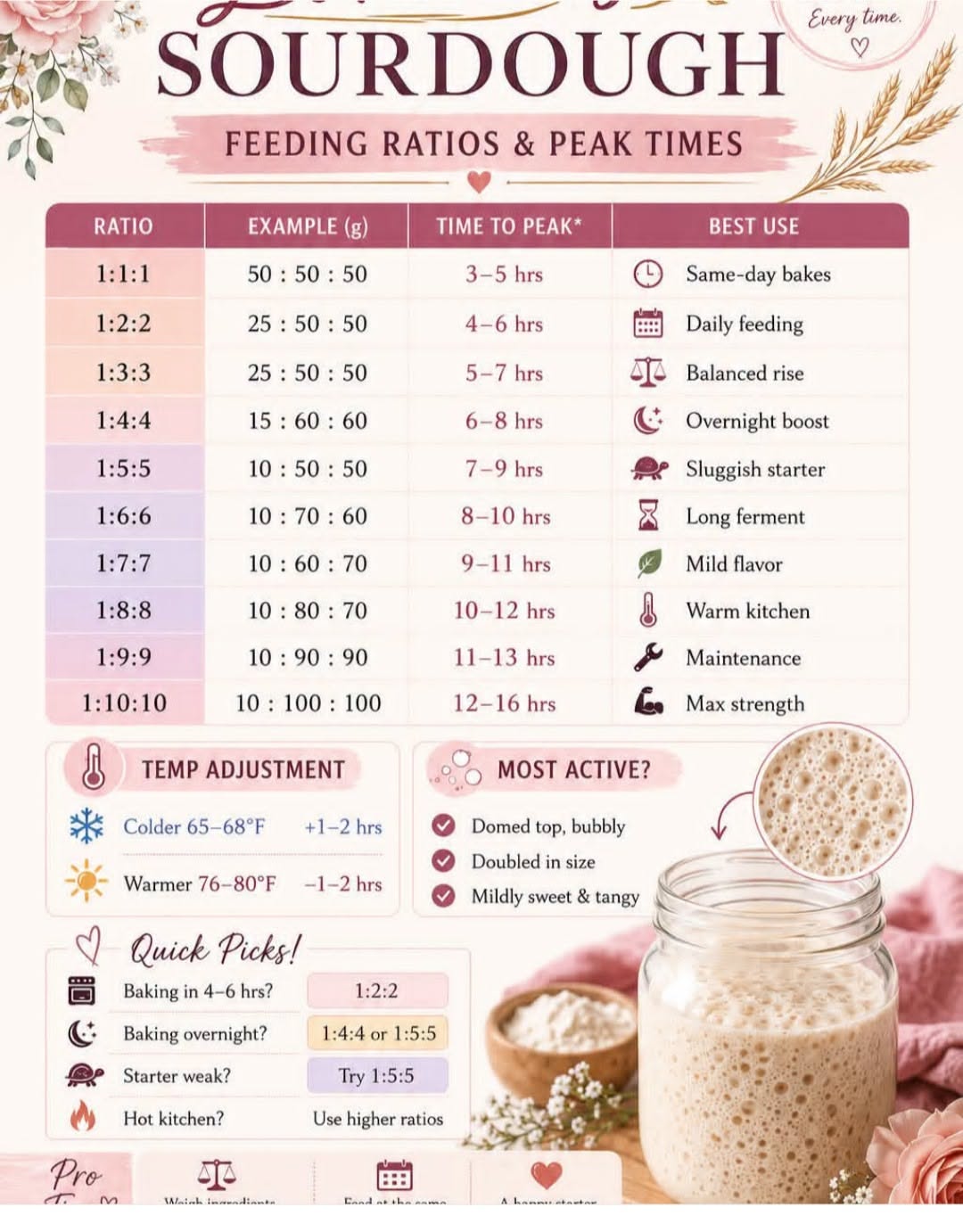 Infographic showing sourdough feeding ratios, peak times, and best uses, with a section on temperature adjustment and signs…