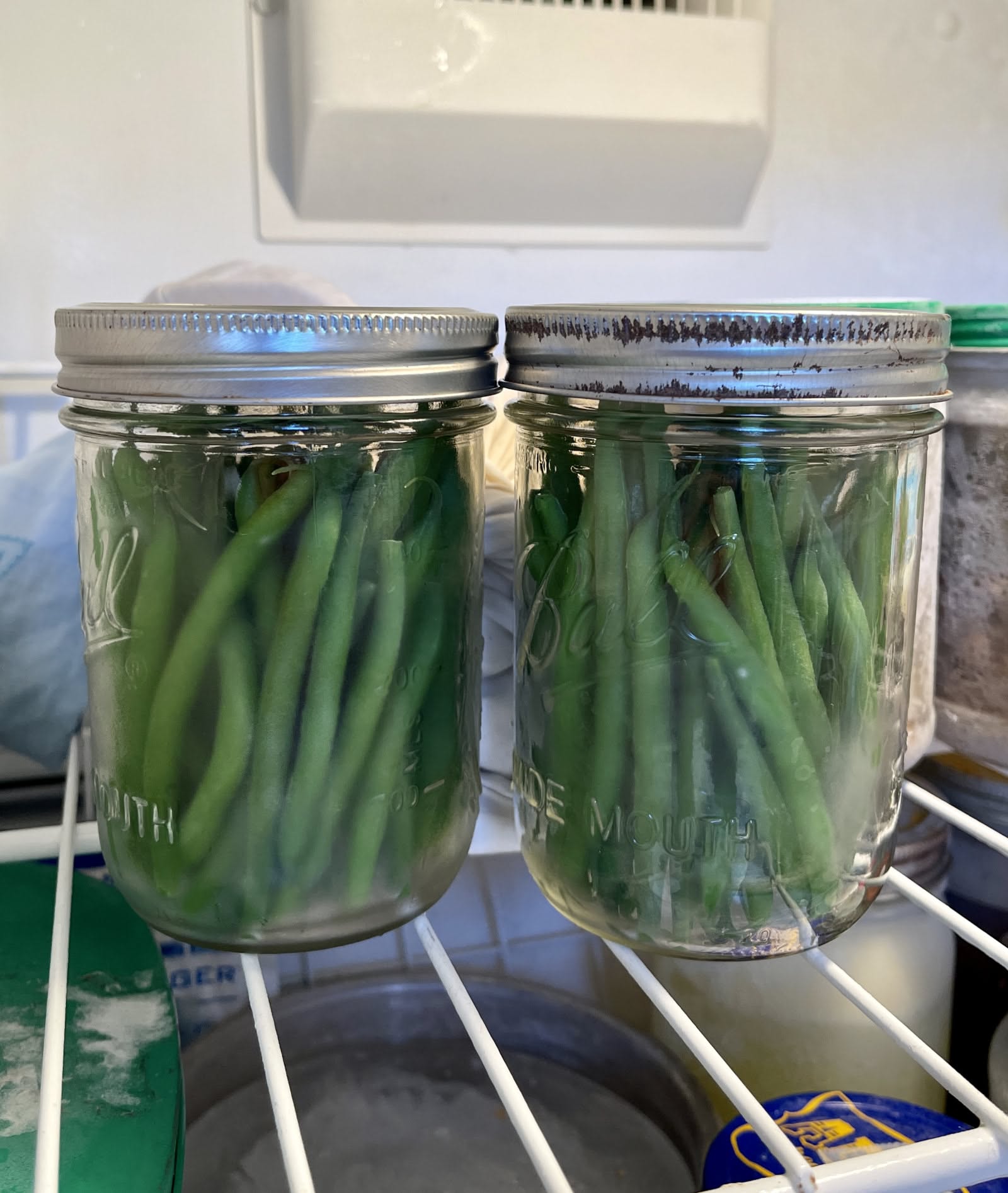 Two glass canning jars filled with blanched green beans, stored on a freezer shelf.