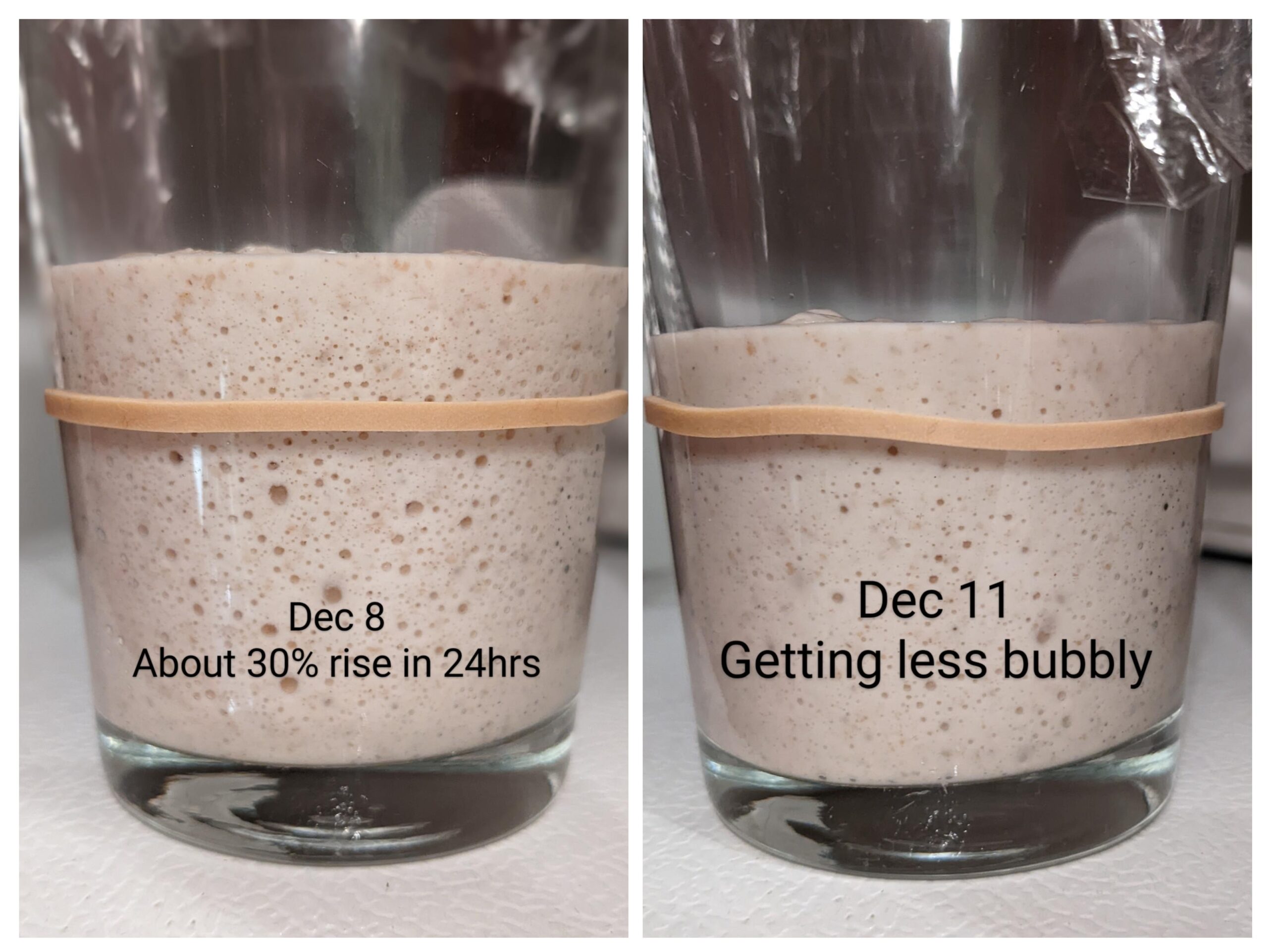 Jar of sourdough starter with a thick, bubbly surface