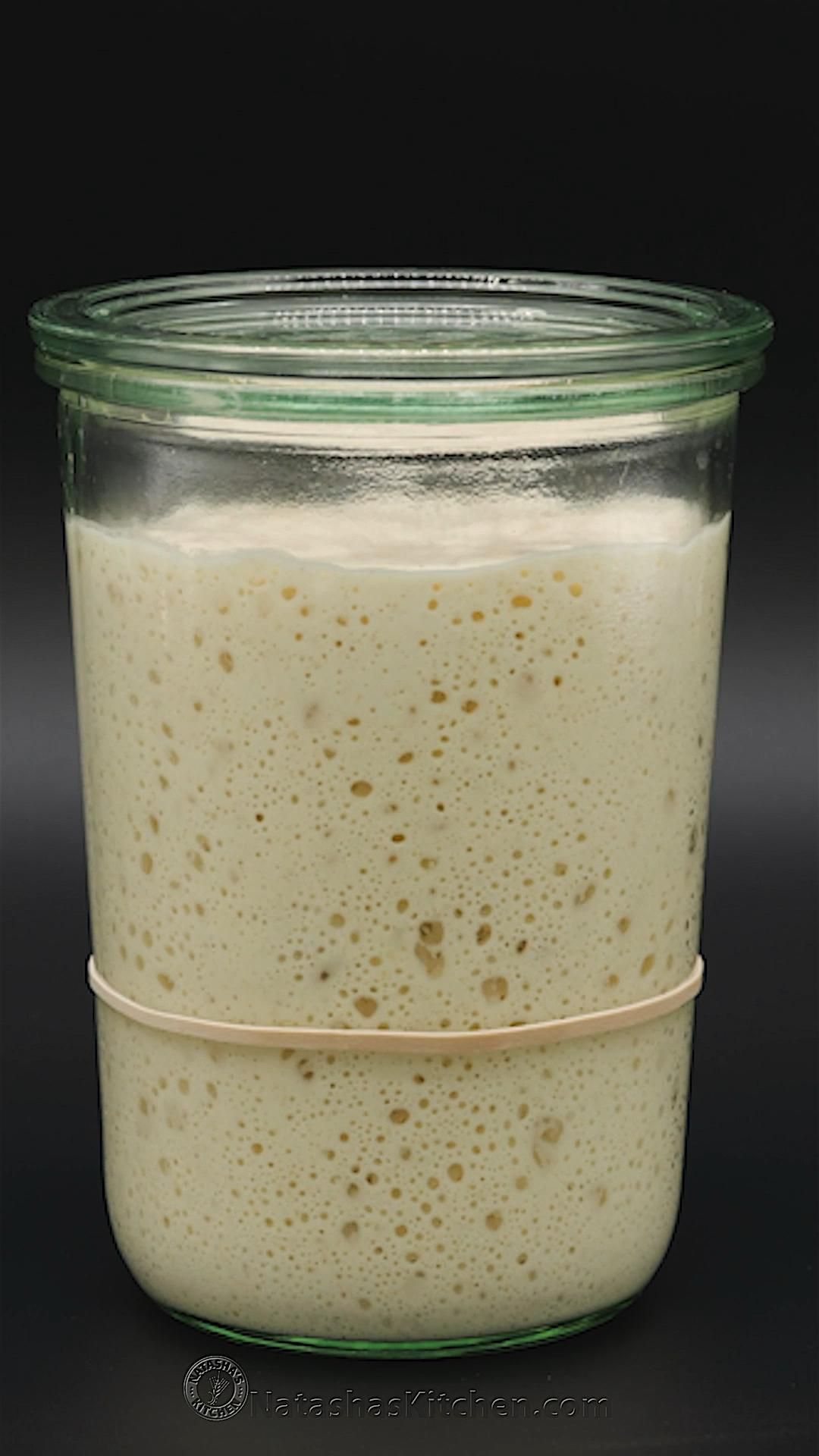 A clear glass jar filled with a bubbly, light beige sourdough starter, marked with a rubber band to show growth.