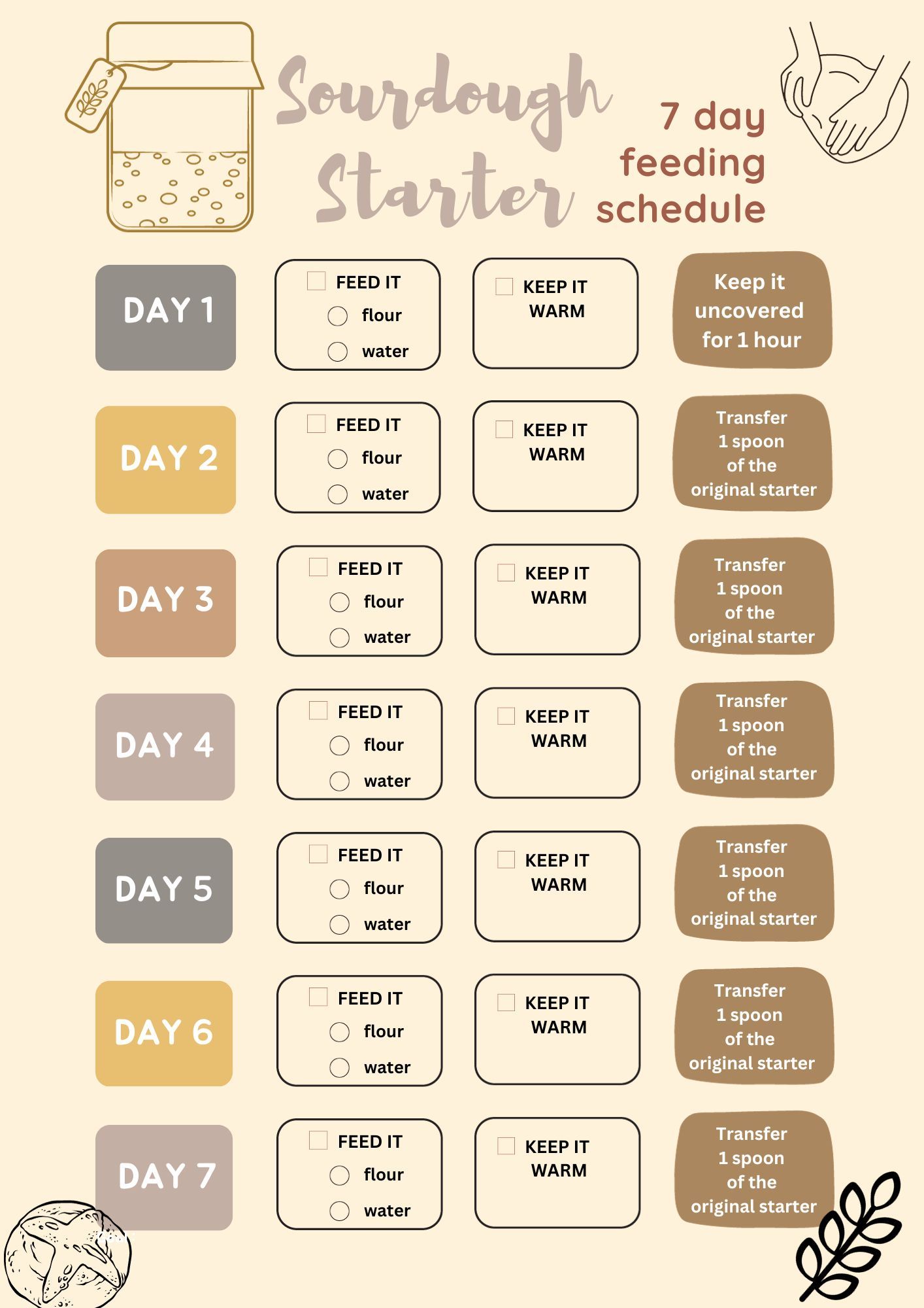 Visual chart showing a 7-day sourdough starter feeding schedule, with daily steps for feeding, keeping warm, and…