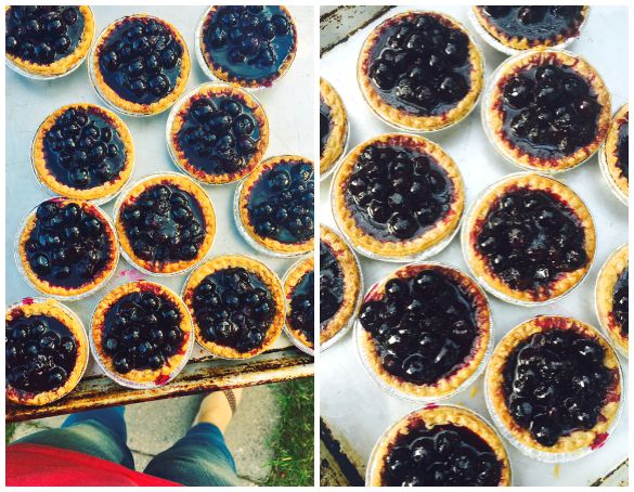 Many small, round blueberry tarts with golden crusts and glossy purple fillings, arranged closely on a tray.