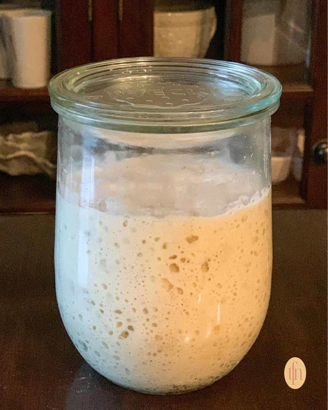 Bubbly sourdough starter rising in a glass jar