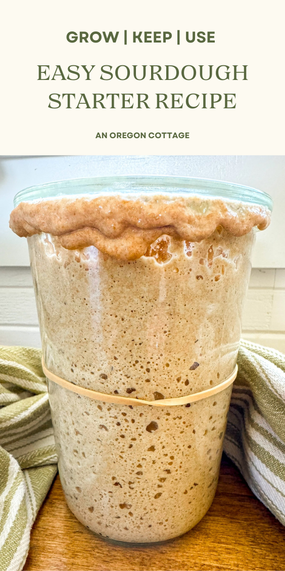Bubbly, active sourdough starter in a glass jar, with a green and white striped towel next to it.